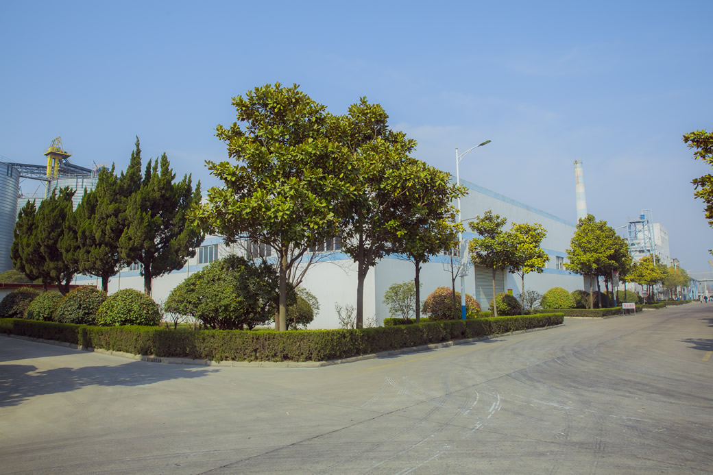 ����һ��